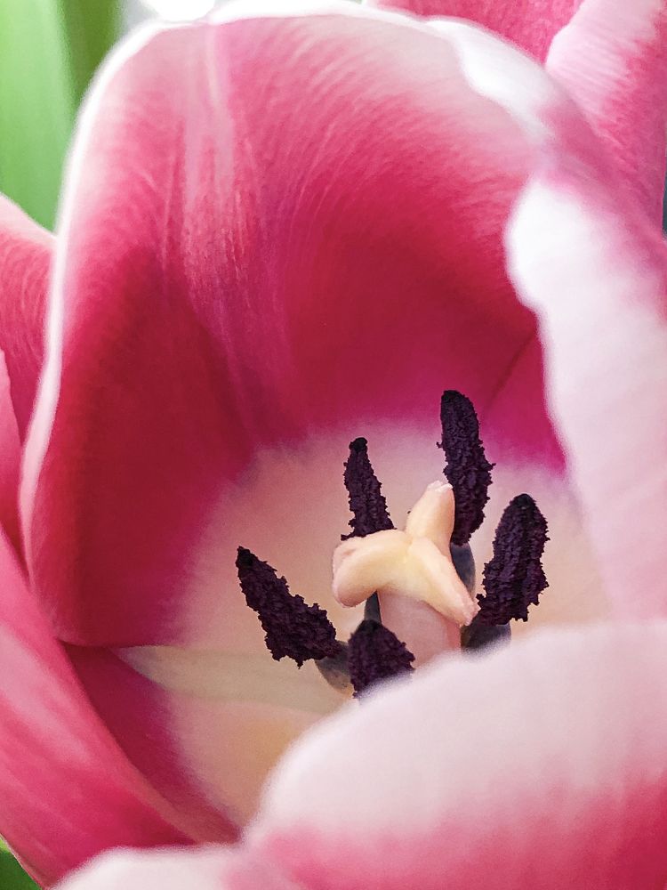 Фотография автора Оксана Сырчина