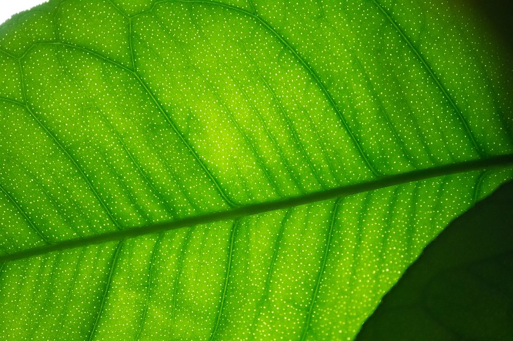 Фотография автора Оксана Сырчина