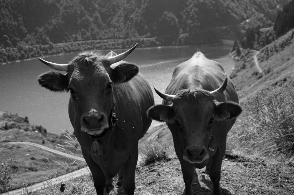 Photograph by Анастасия Морозова