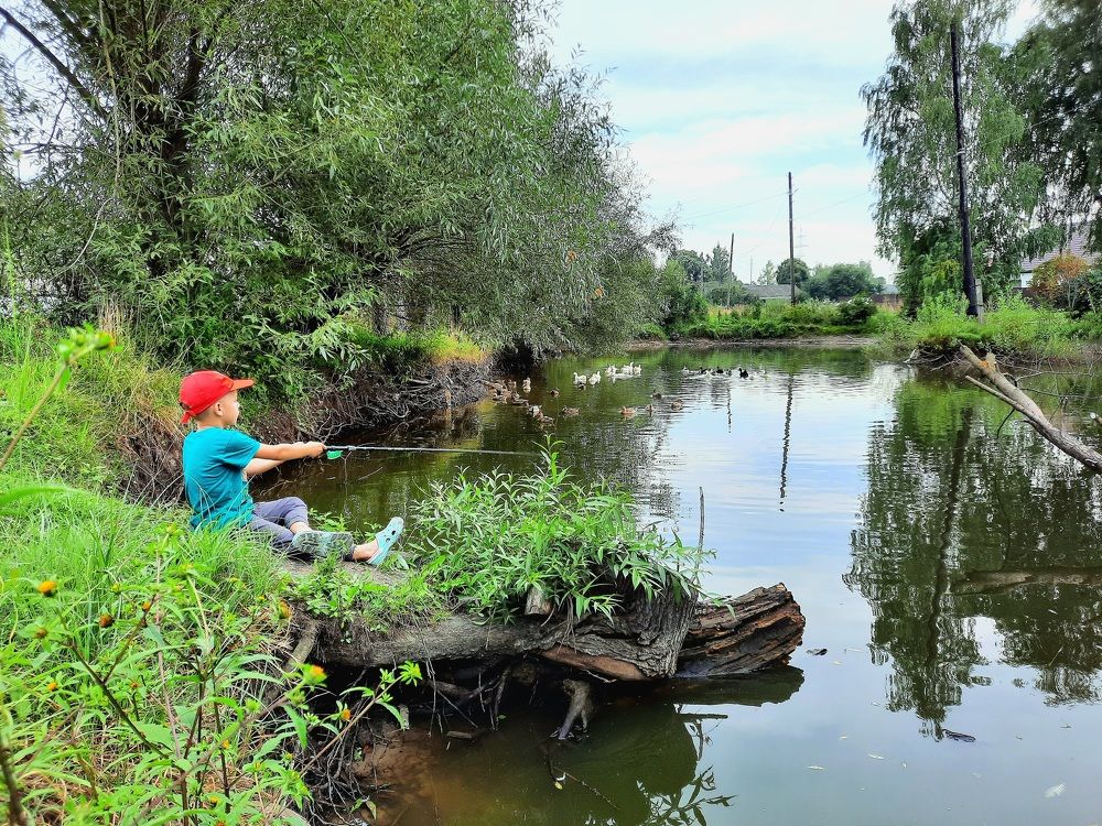 Photograph by Елена Симонова