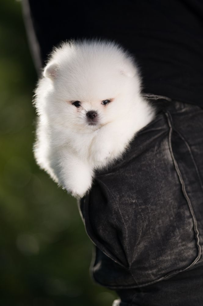 Photograph by Иван Грачев