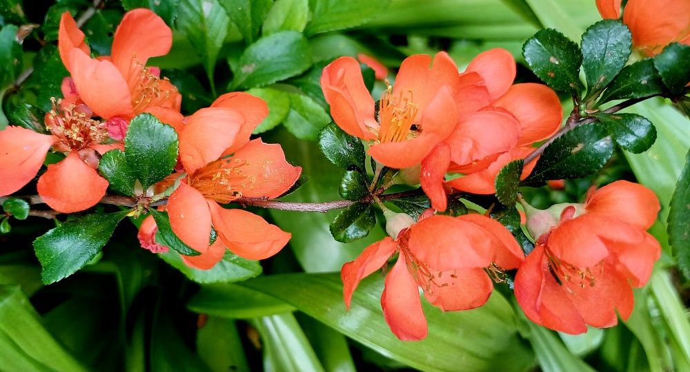 Photograph by Елена Немешаева