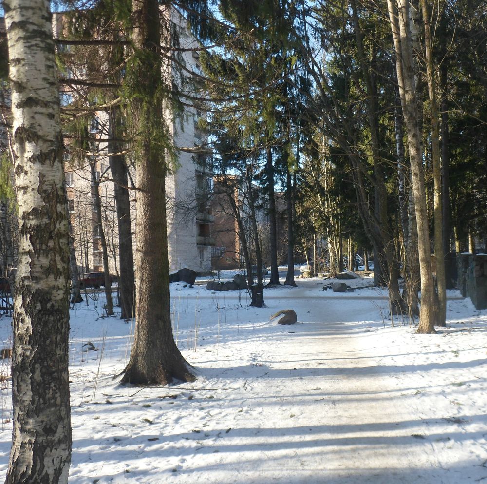 Photograph by Маша Худякова