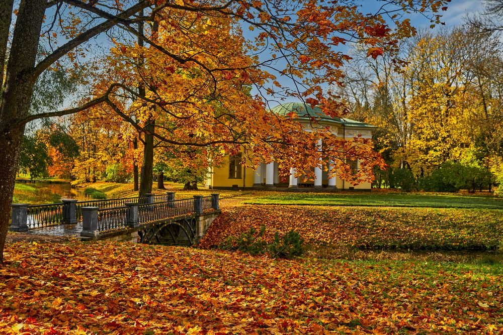 Photograph by Устинов Андрей