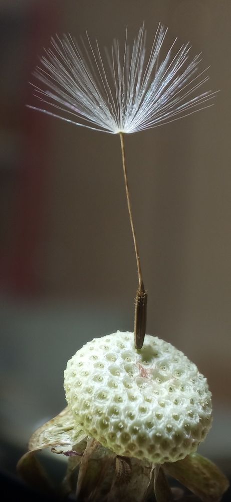 Фотография автора Mahdi Mohammadi