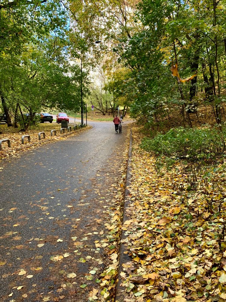 Photograph by Елена Макуха