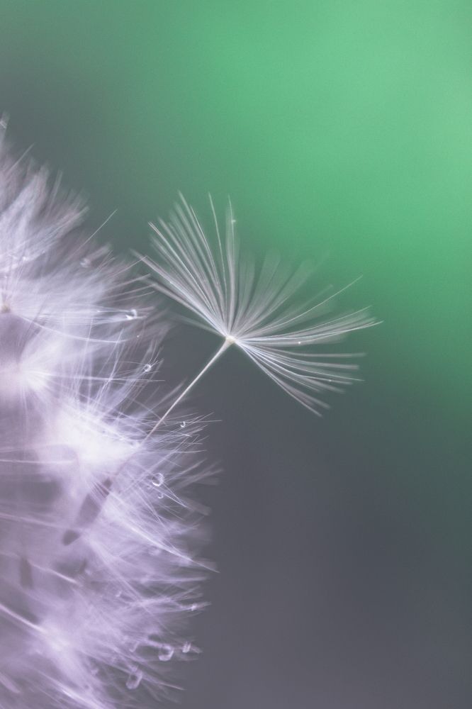 Photograph by Victoria Popkova