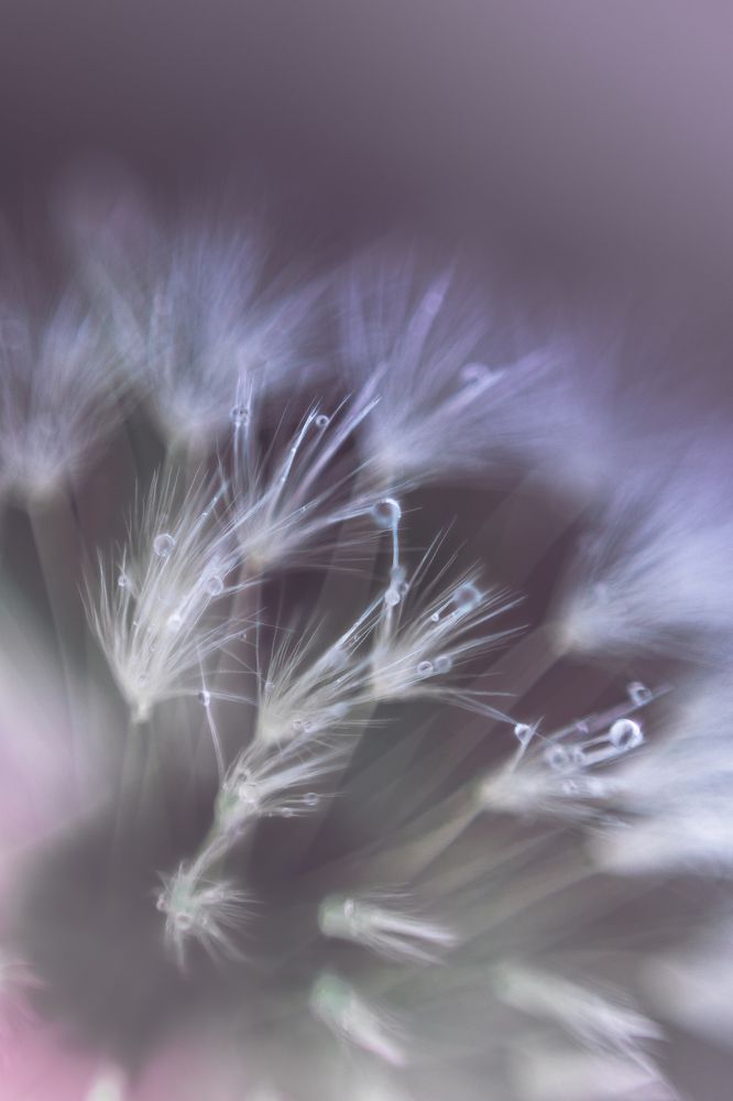 Photograph by Victoria Popkova