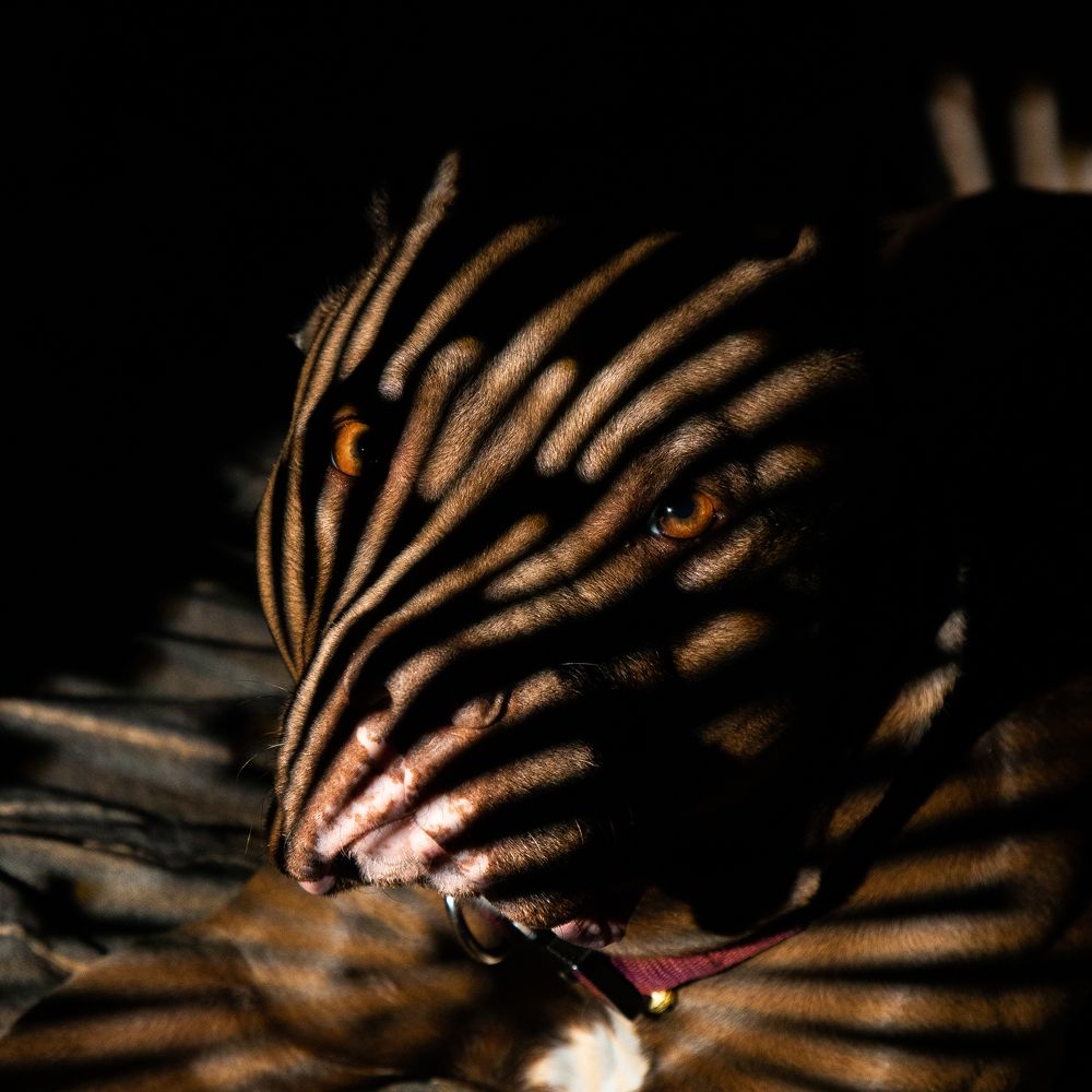 Photograph by Aleksei Kazakov