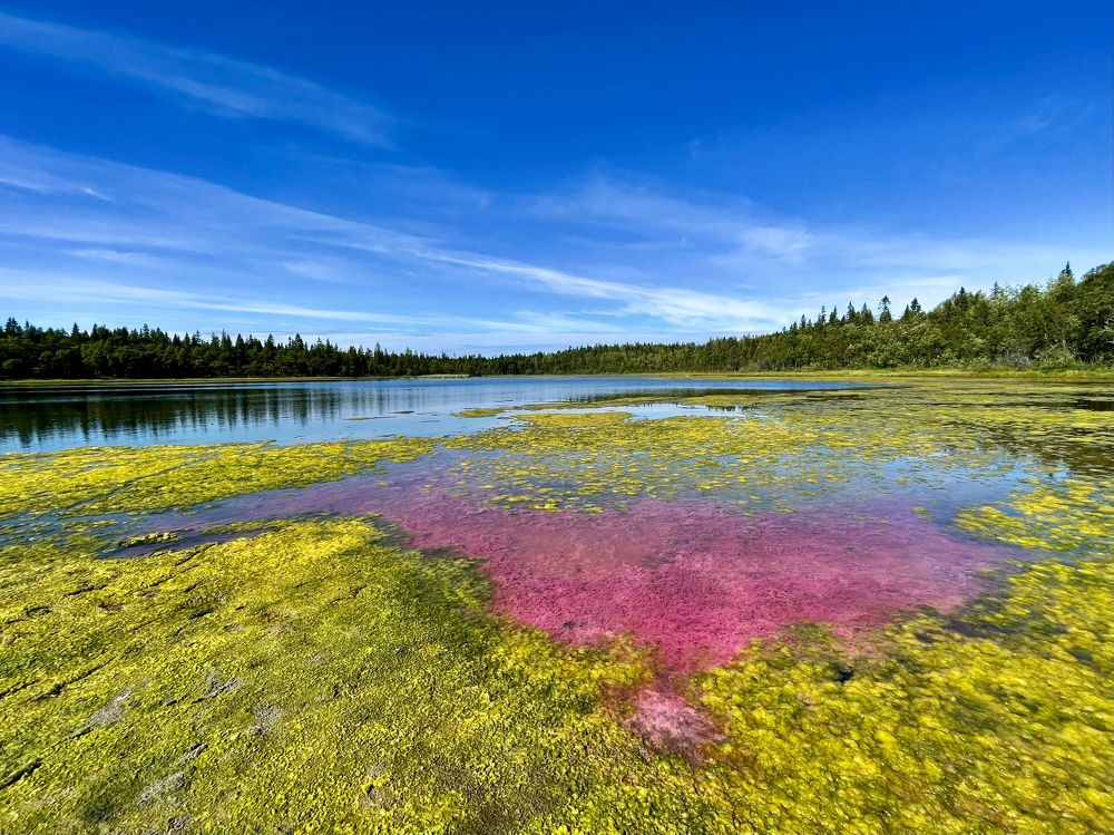 Photograph by Tatiana Teit Ash