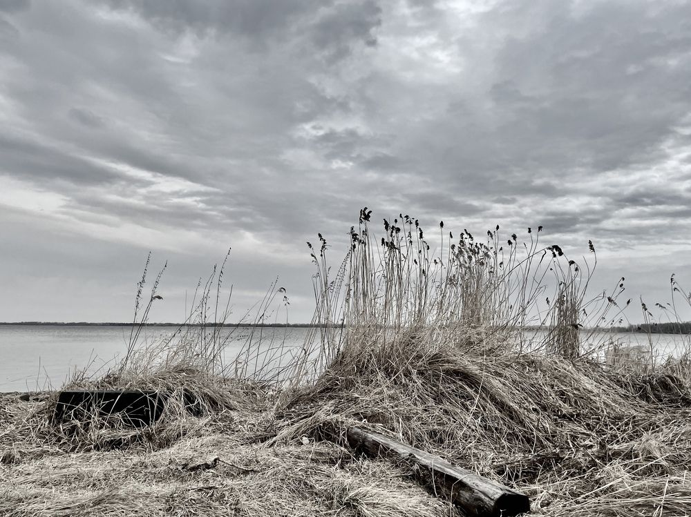 Photograph by Tatiana Teit Ash