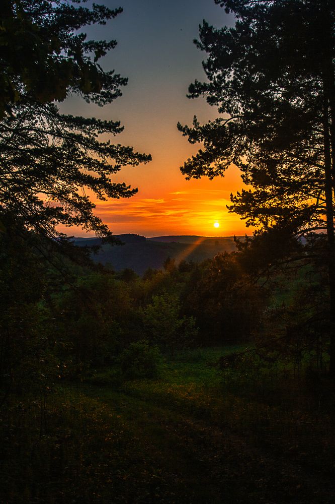 Photograph by Александр Жариков