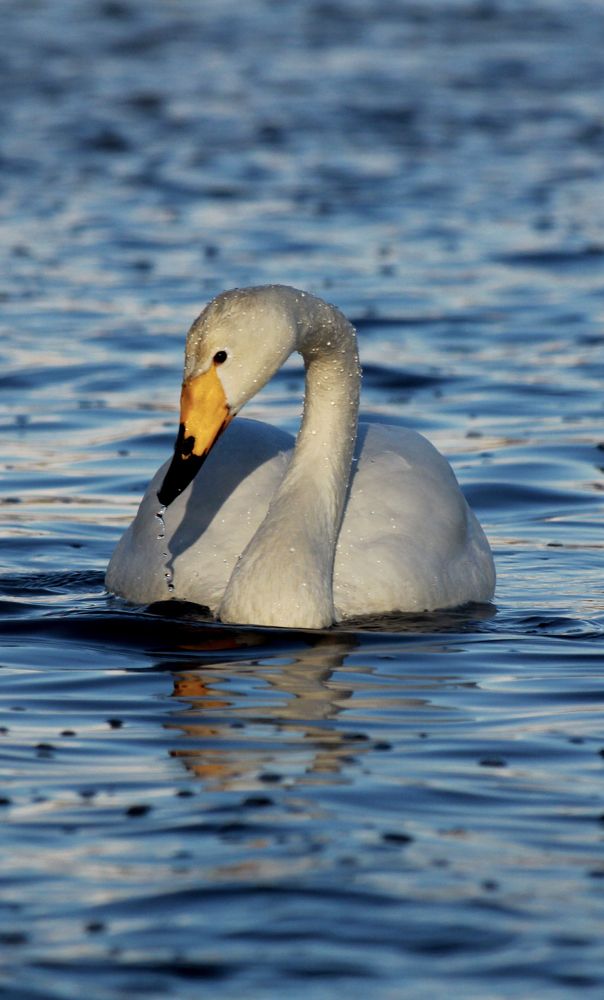 Photograph by Александр