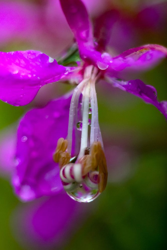 Photograph by Kostantin Belonogov