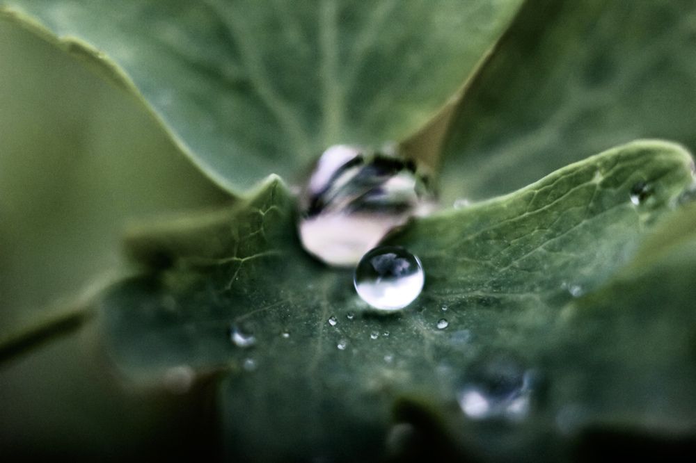 Photograph by Kostantin Belonogov