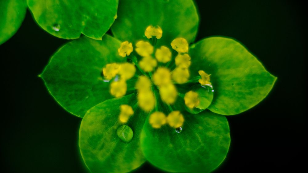 Photograph by Kostantin Belonogov