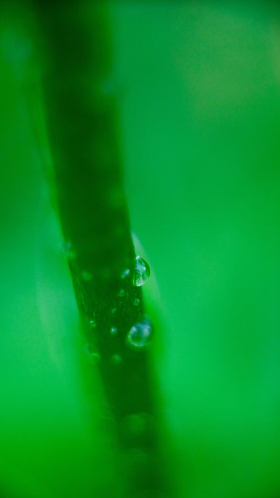 Photograph by Kostantin Belonogov