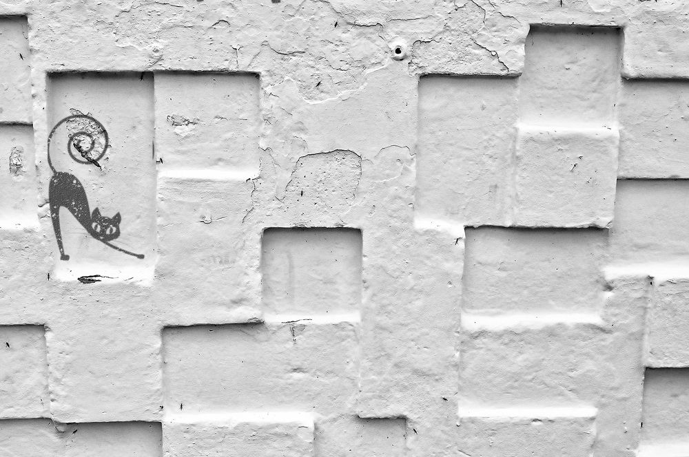 Photograph by Ирина Александрович