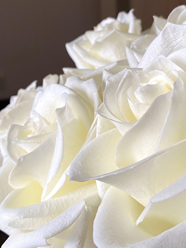 Фотография автора Бакалова Ирина