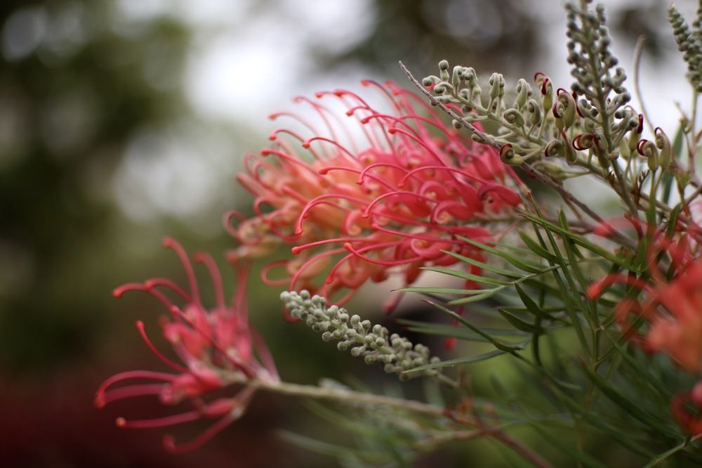 Фотография автора Бакалова Ирина