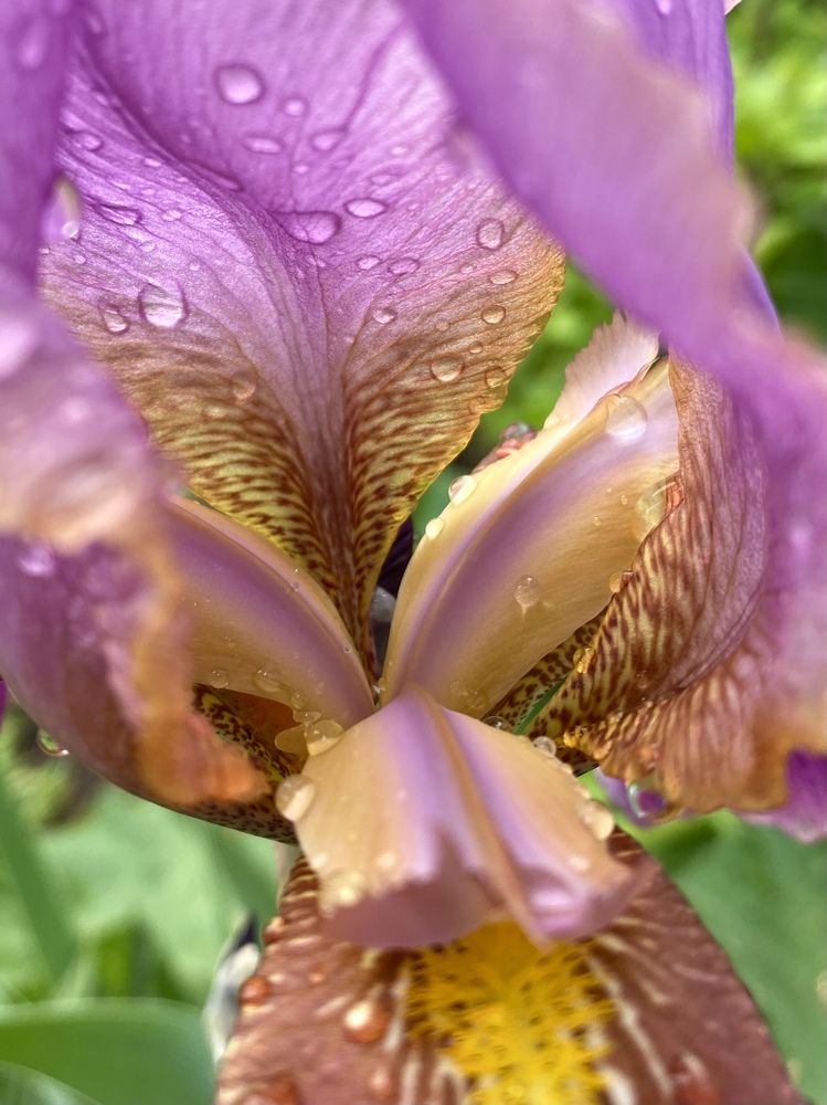 Фотография автора Бакалова Ирина