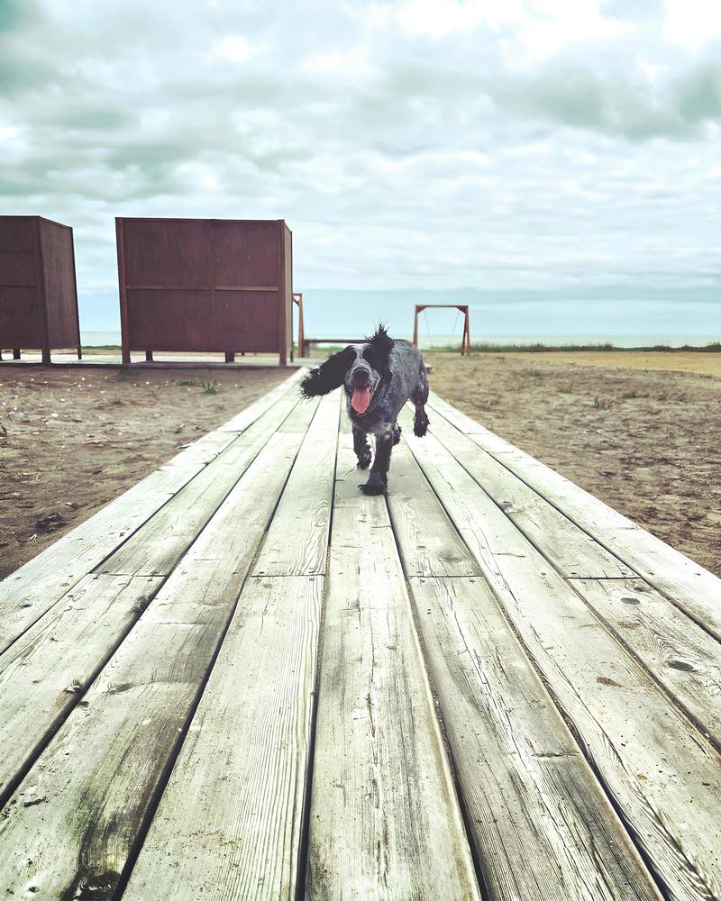 Photograph by Катерина