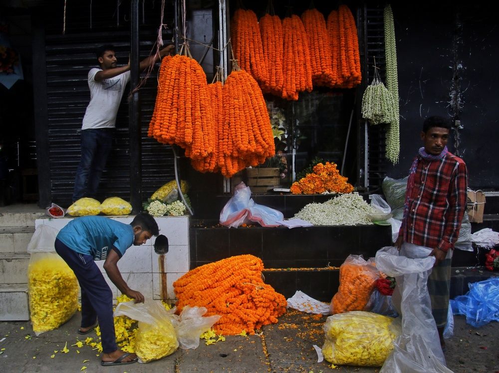 Фотография автора Avijit datta