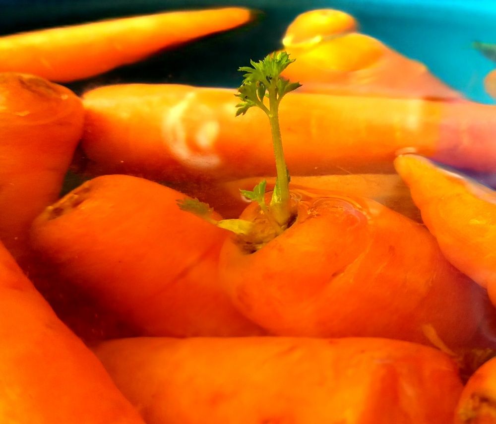 Photograph by Babak Akvan