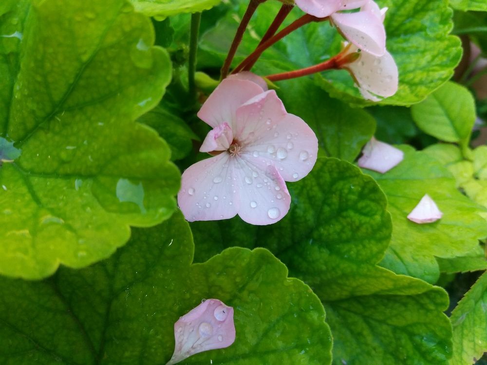 Photograph by Babak Akvan