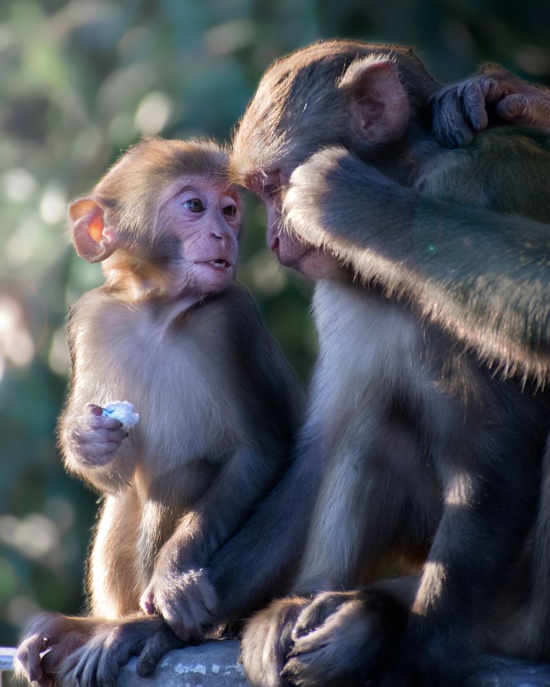 Photograph by Ritabrata Roy Choudhury