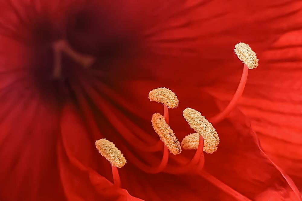 Из огня да в черную дыру...