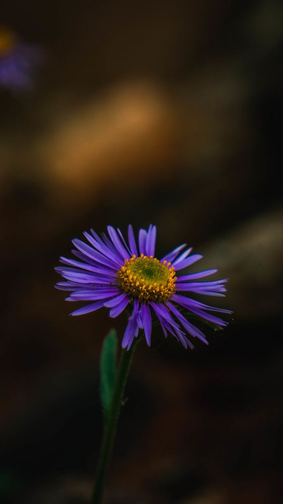 Photograph by Шмаков Денис