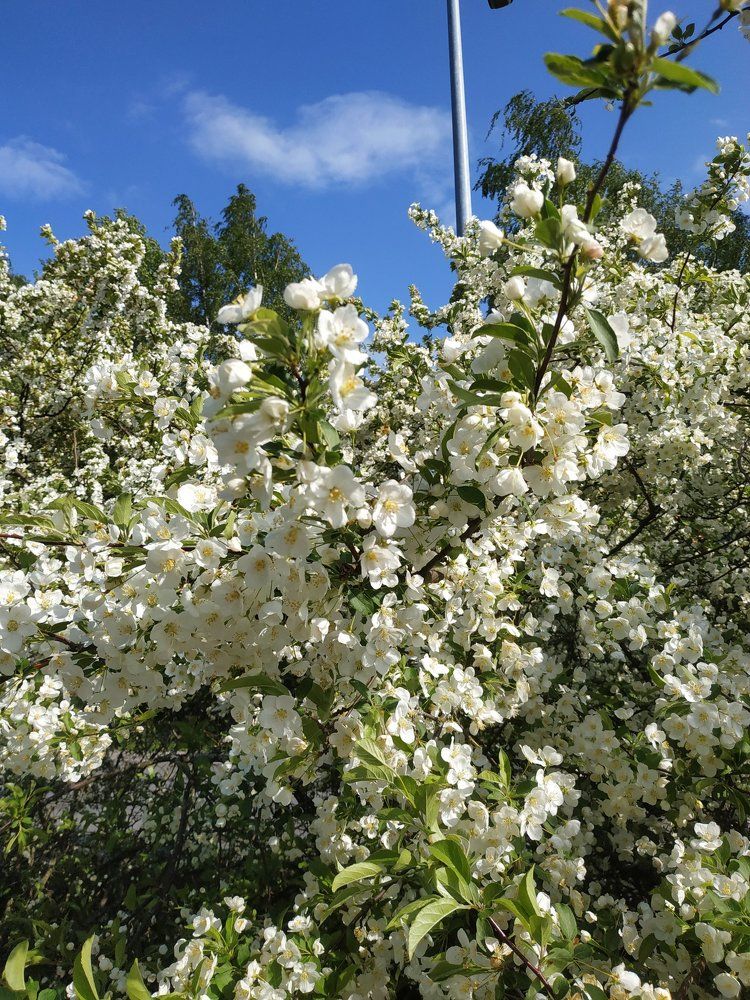 Photograph by Вероника