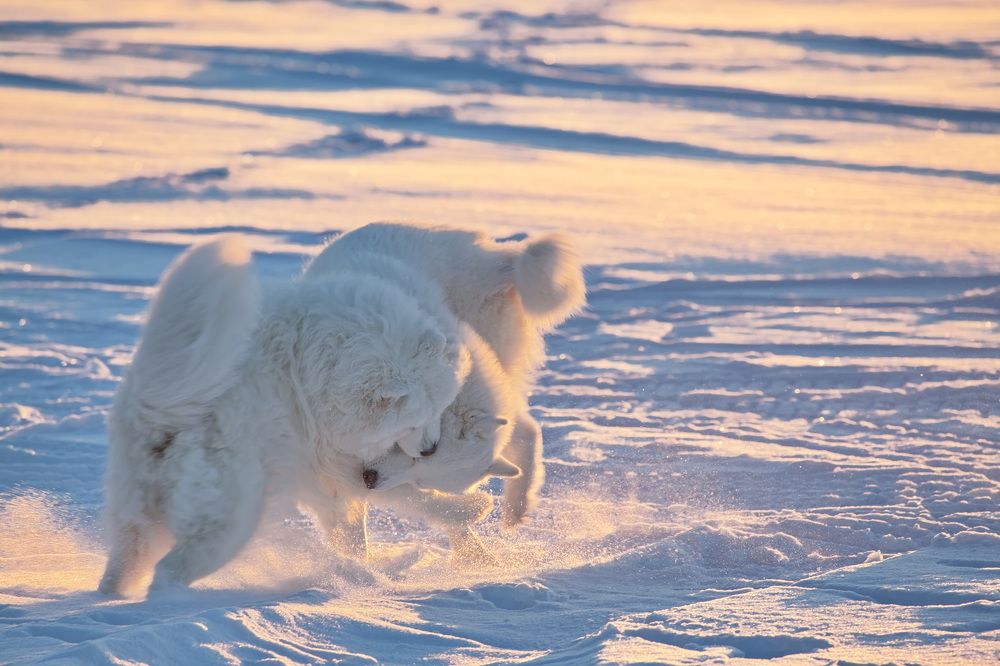 Photograph by Олег Раков