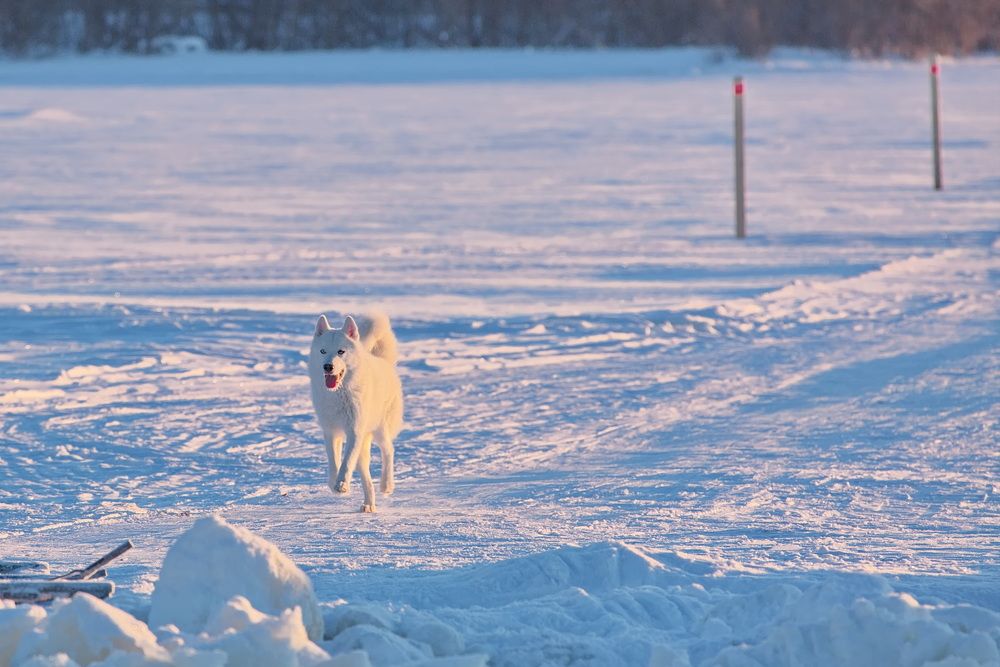 Photograph by Олег Раков