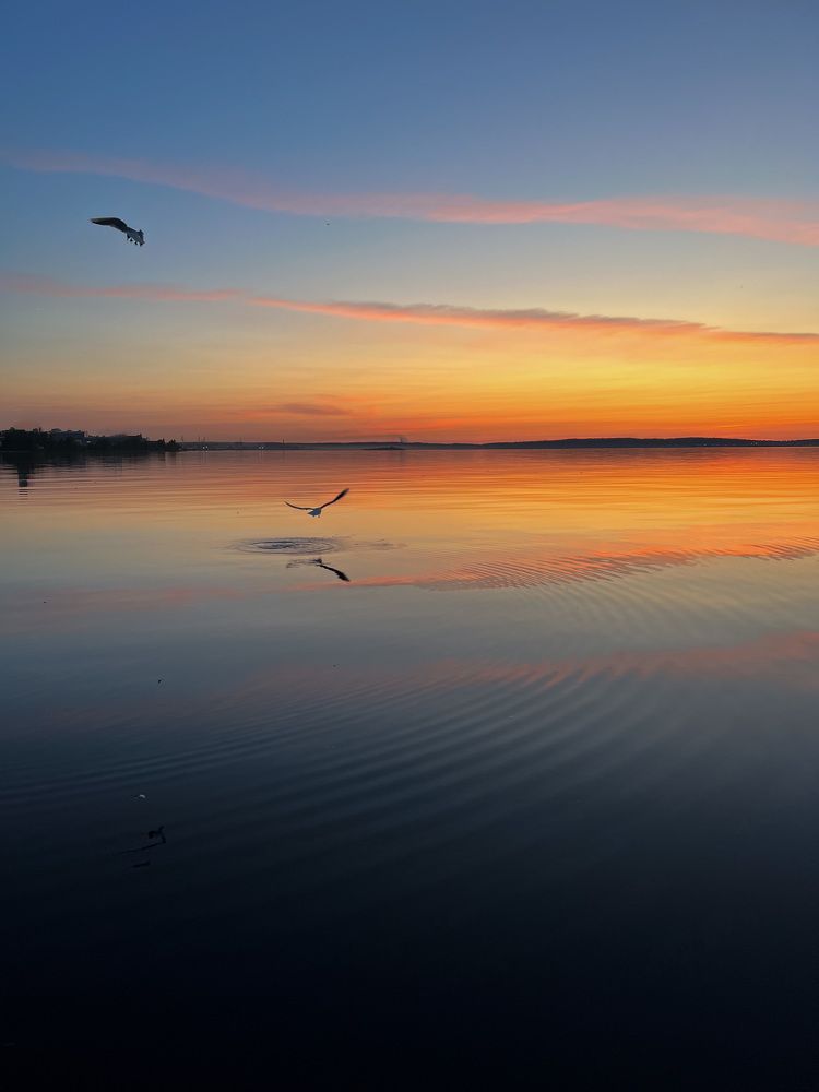 Photograph by Наталья Манжиева