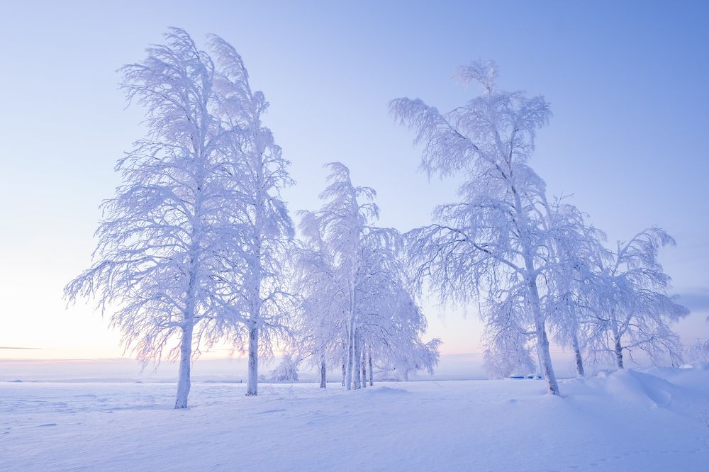 Photograph by Светлана Краюшкина