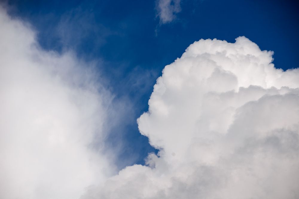 Фотография автора Ольга Круковская