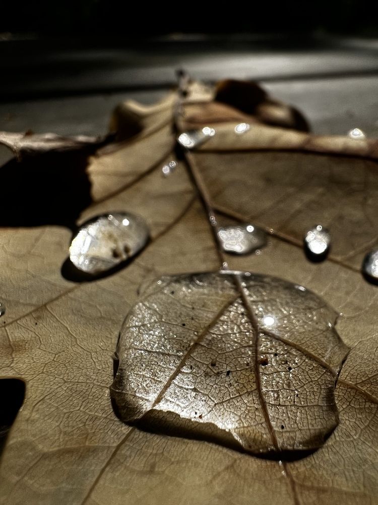 Photograph by Наталья Манжиева