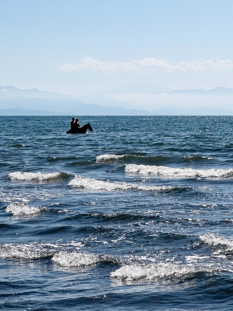 Photograph by Евгения/303284