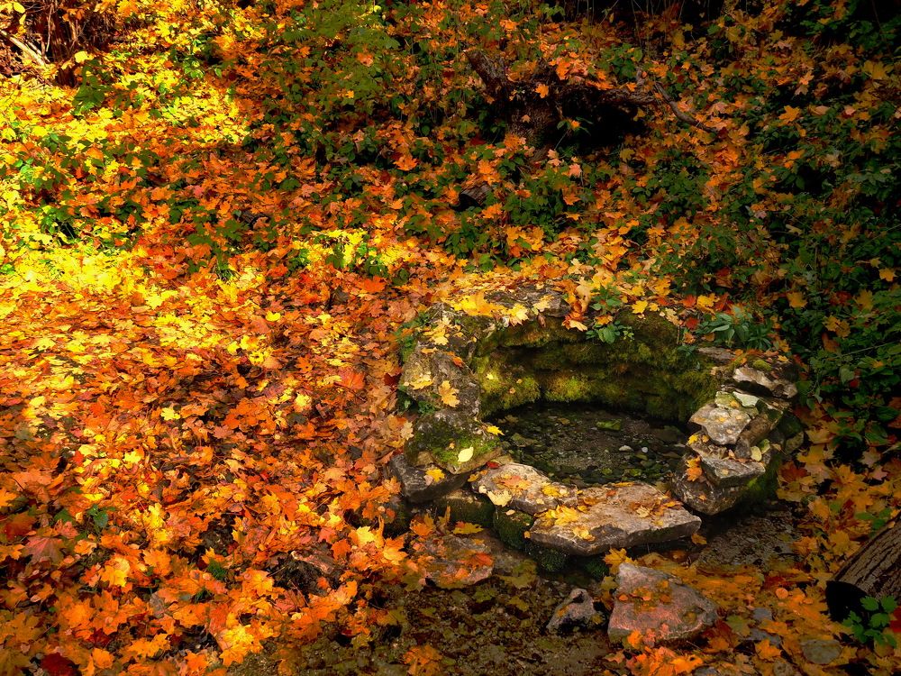 Photograph by Андрей Михайлин