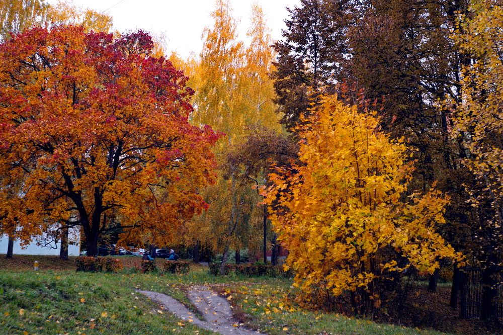 Photograph by Андрей Михайлин