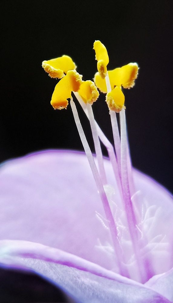 Фотография автора Mahdi Mohammadi