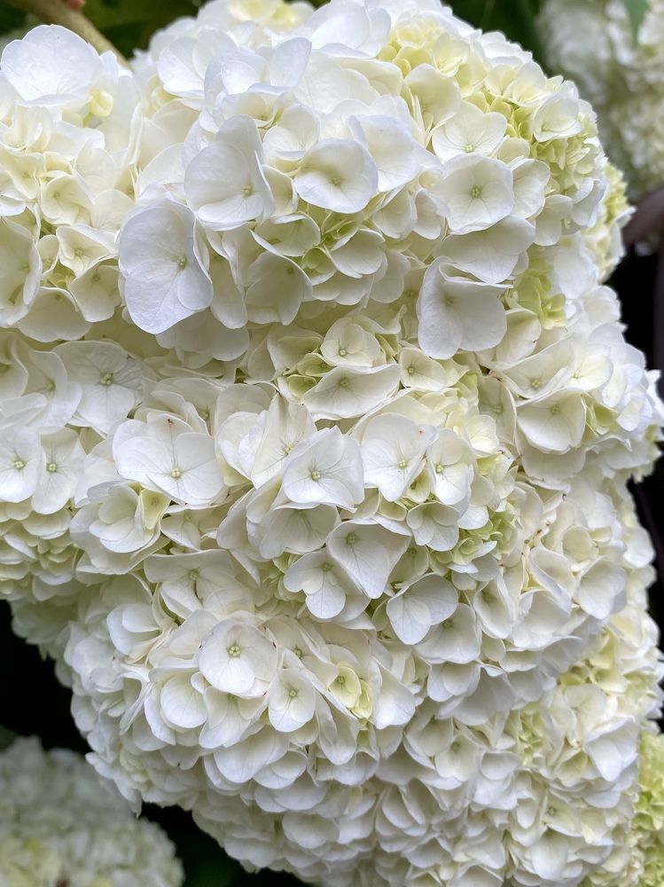 Фотография автора Бакалова Ирина