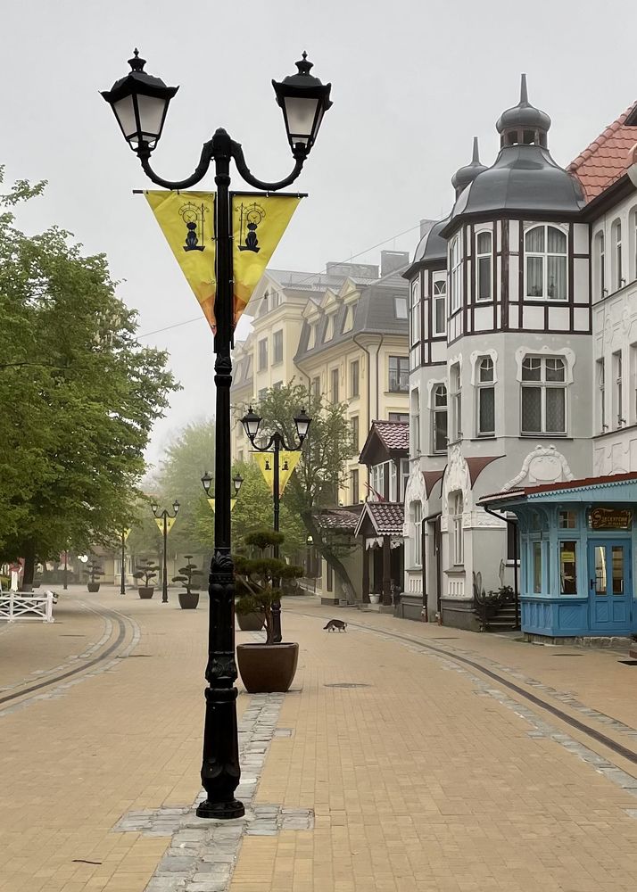 Photograph by Елена Докучаева