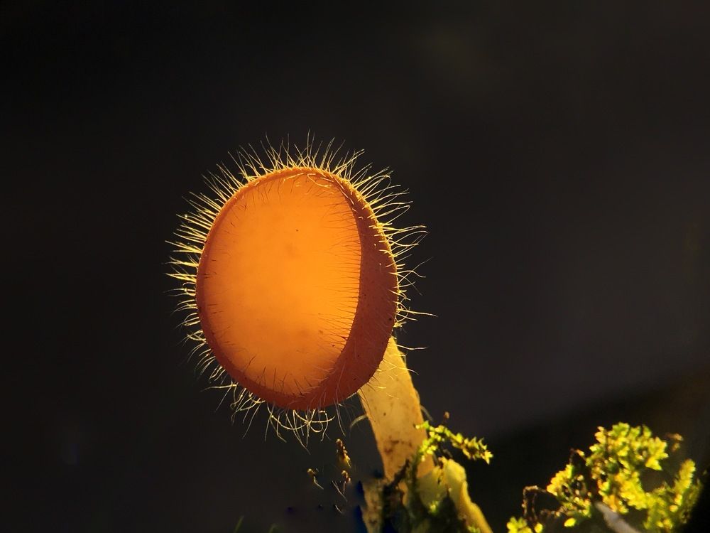 Photograph by Tania Herdianti