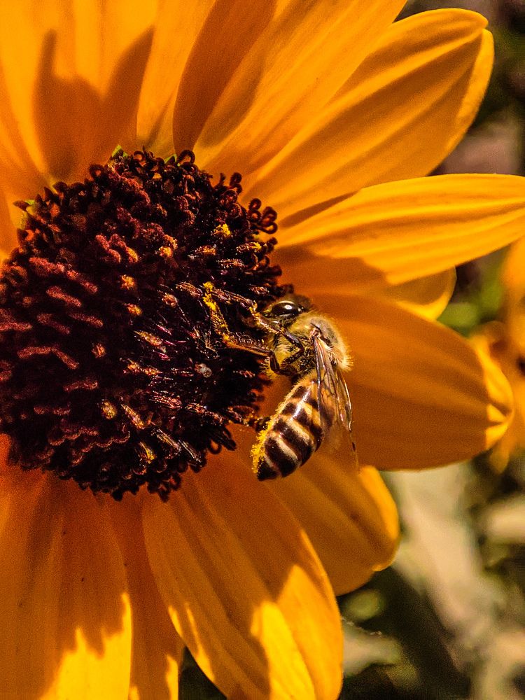 Photograph by Nishant Raj