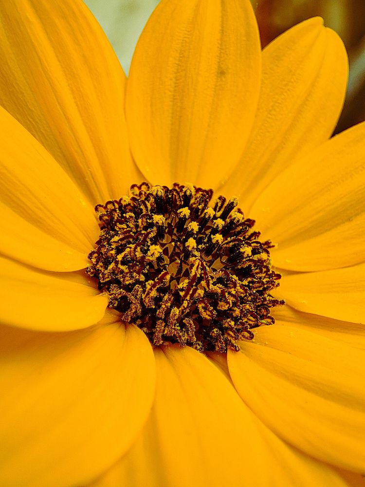 Photograph by Nishant Raj