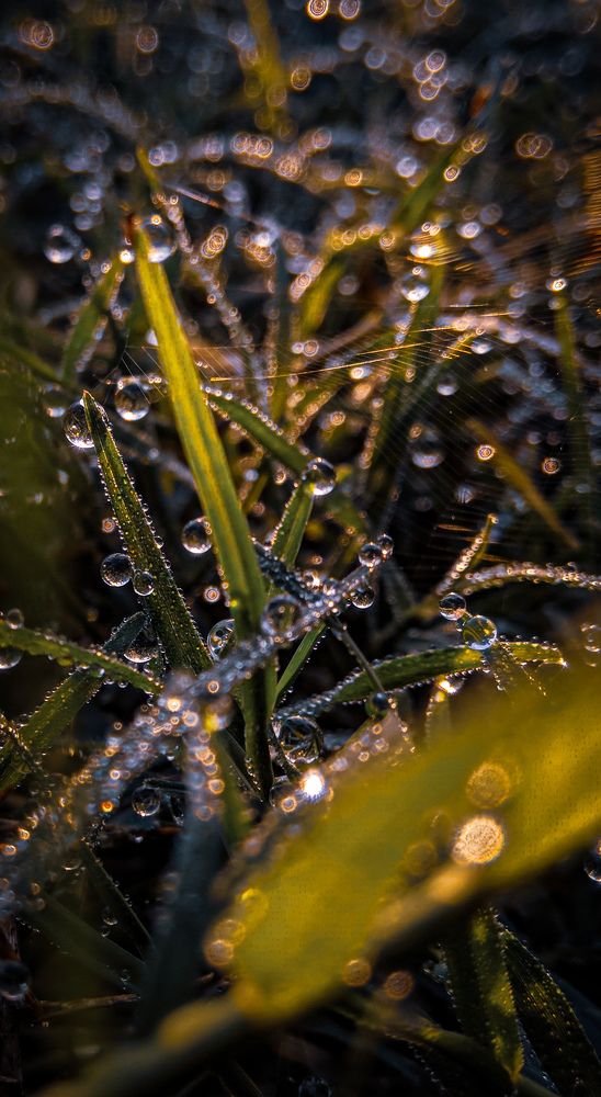 Photograph by Nishant Raj