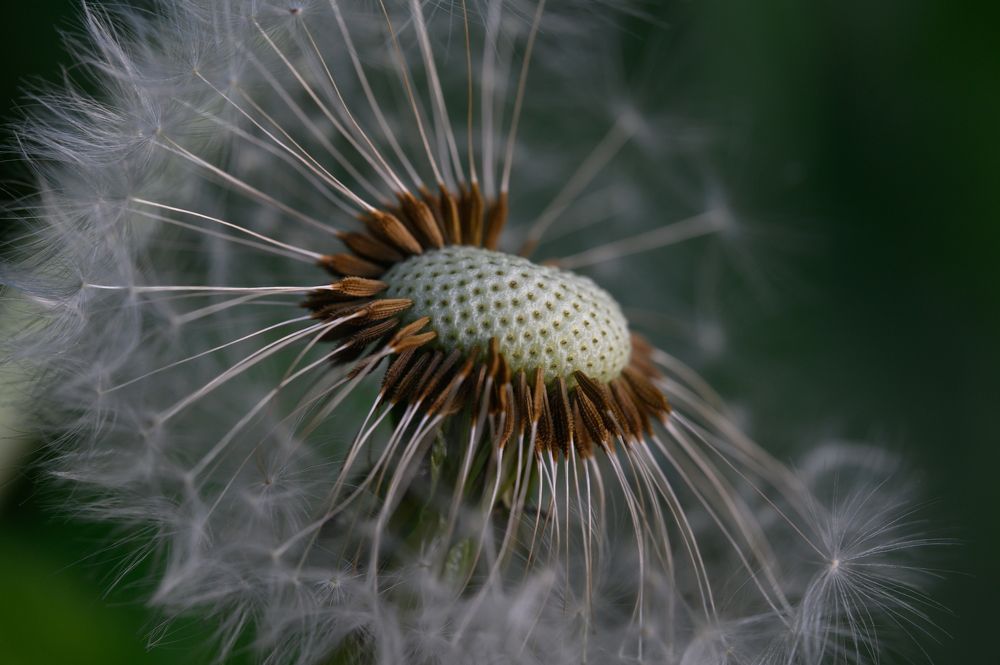 Photograph by Вячеслав Белов